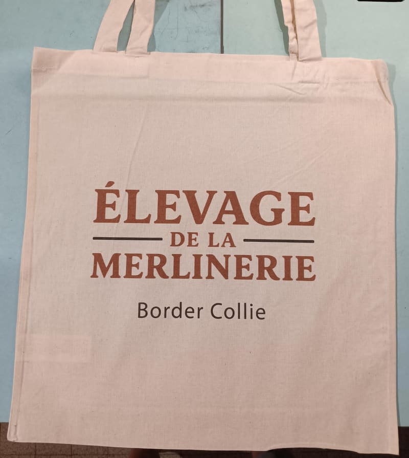 DTF Impression directe tote bag coton